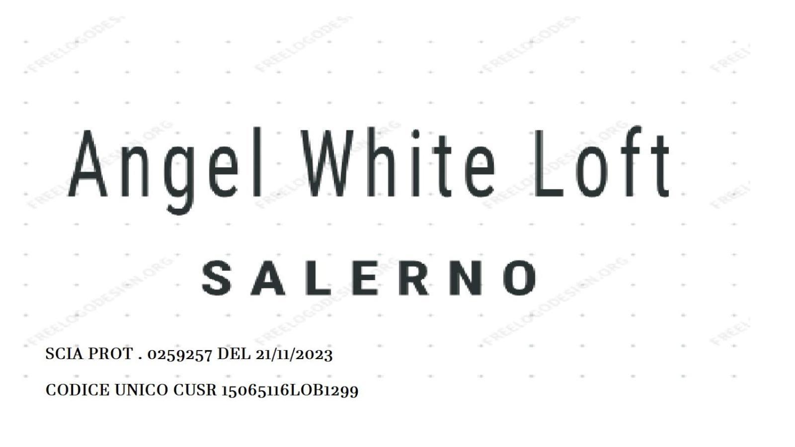 Apartment Angel White Loft